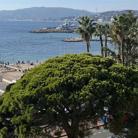 Palm Croisette Front De Mer1
