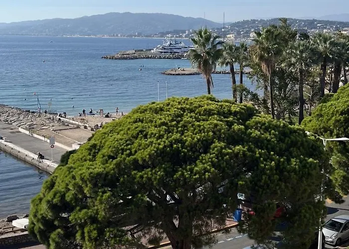 Palm Croisette Front De Mer1